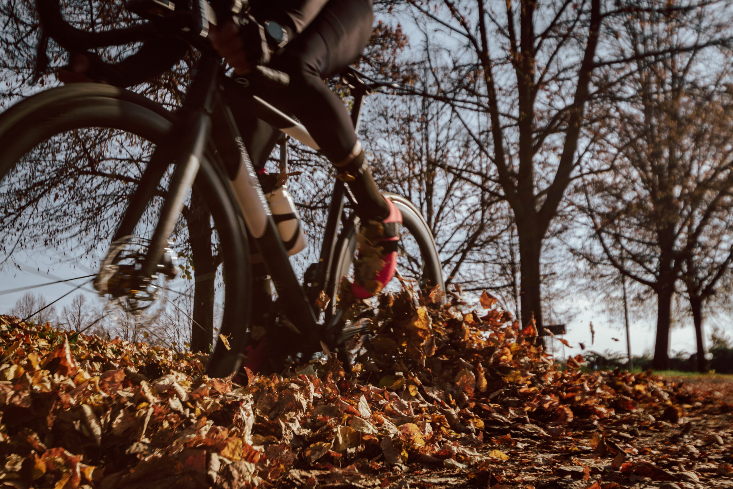 Fotografia ambientata bicicletta Lemma 2.0 Officine Mattio pedalata su foglie